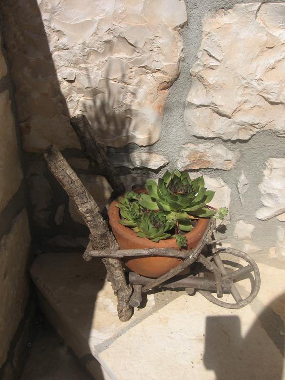Apartment Baladur Umag Bagian luar foto
