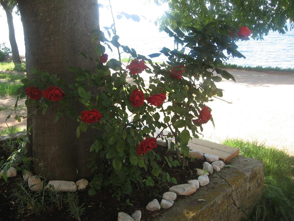 Apartment Baladur Umag Bagian luar foto